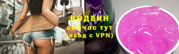 прущий лед Алзамай