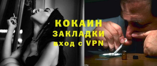 прущий лед Алзамай