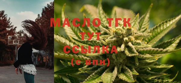 ECSTASY Болотное