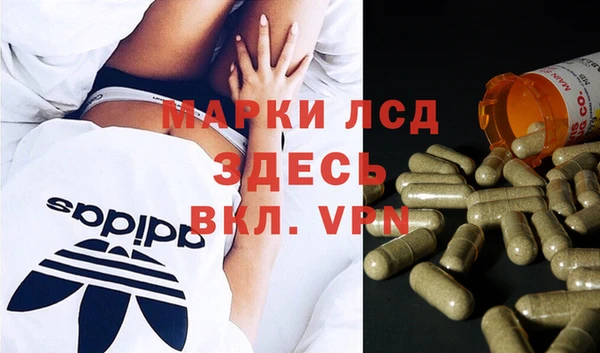 прущий лед Алзамай
