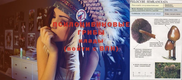 амфетамин Алексеевка