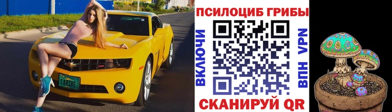 Псилоцибиновые грибы MAGIC MUSHROOMS  Сысерть 